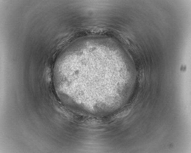 X0000093100962200710241218