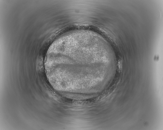 X0000093100963200710241218