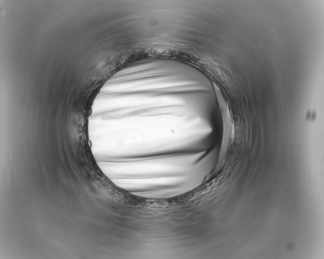 X0000093100964200710241218