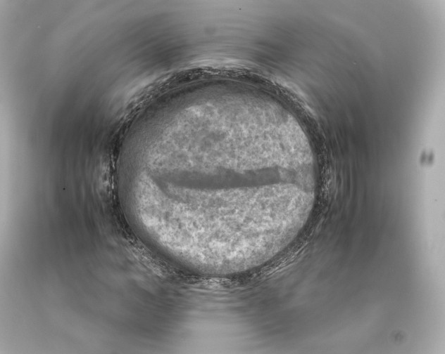X0000093100966200710241218