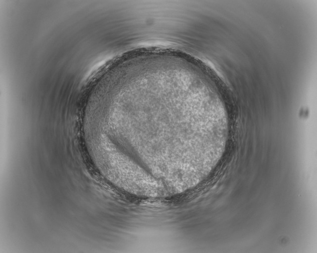 X0000093100967200710241218