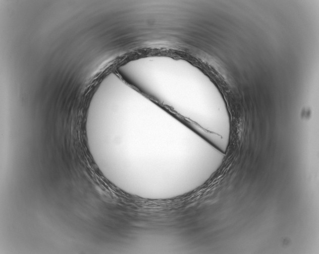 X0000093100968200710241218