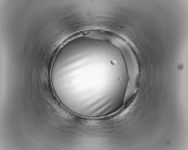 X0000093100969200710241218