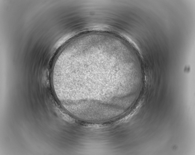X0000093100970200710241218