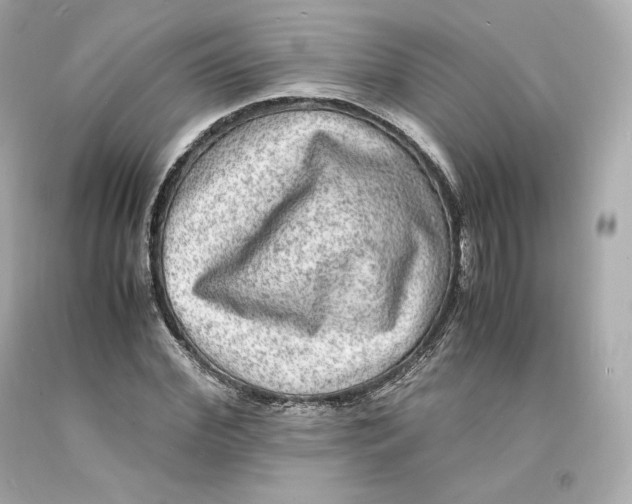 X0000093100972200710241218