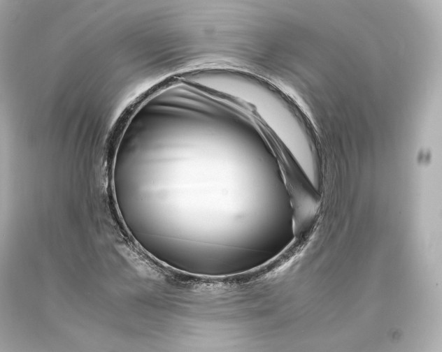 X0000093100973200710241218