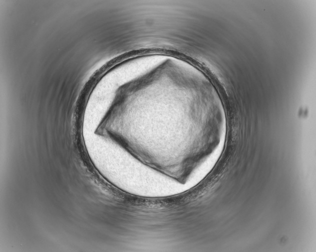 X0000093100975200710241218