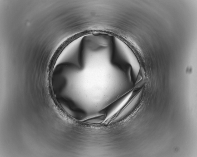 X0000093100976200710241218
