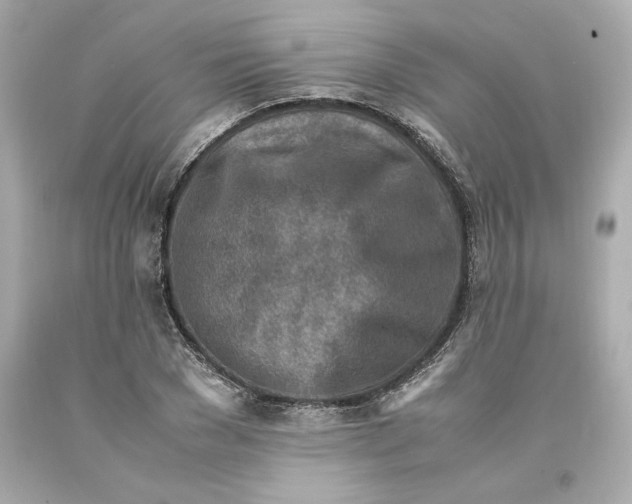 X0000093100977200710241218