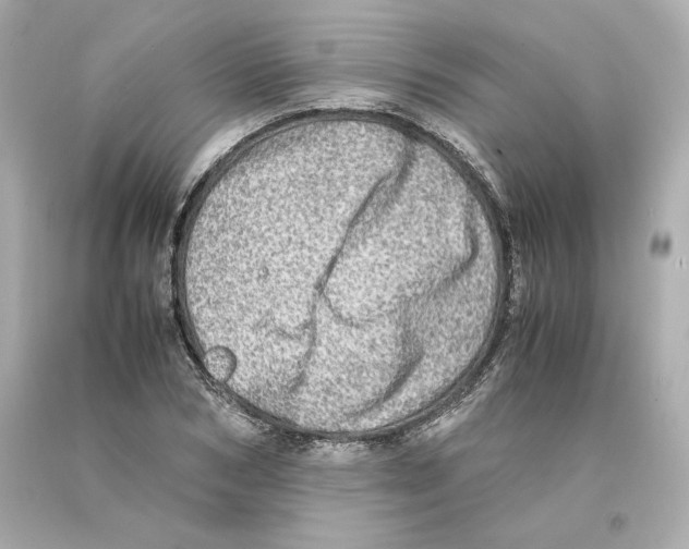 X0000093100978200710241218