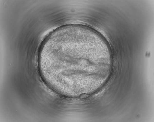 X0000093100979200710241218