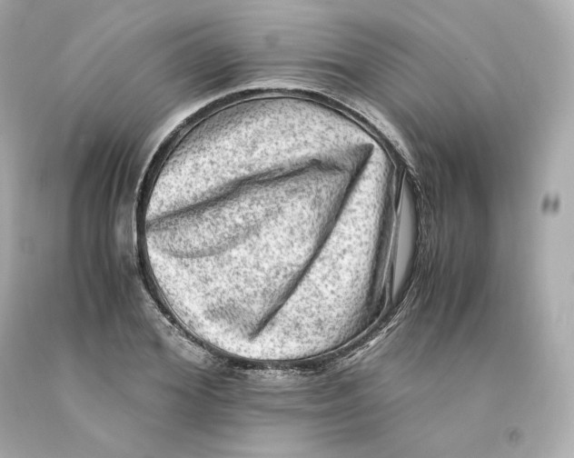 X0000093100980200710241218