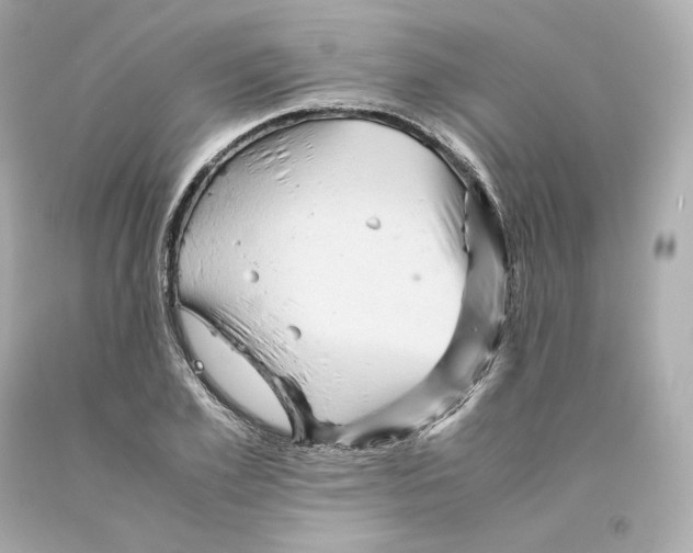 X0000093100981200710241218