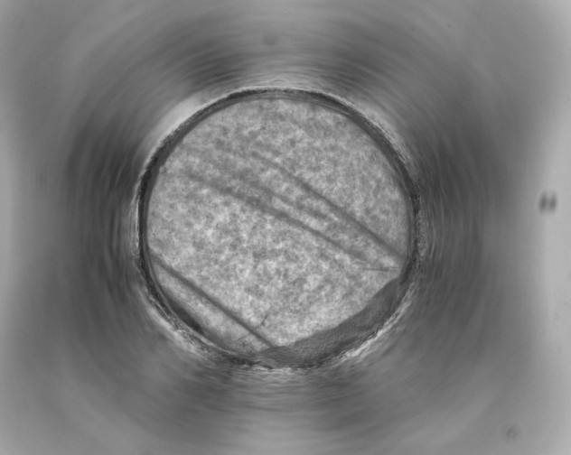 X0000093100982200710241218
