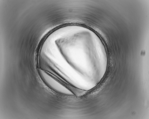 X0000093100983200710241218