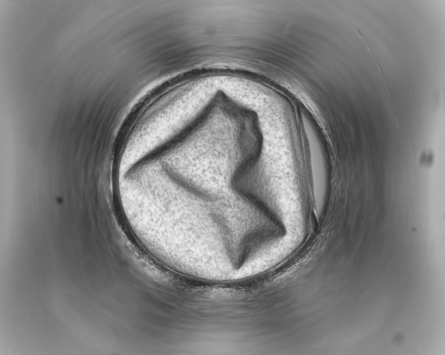X0000093100984200710241217