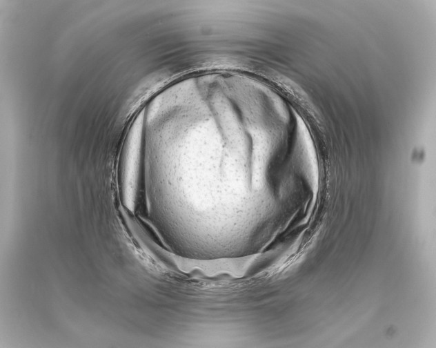 X0000093100985200710241217