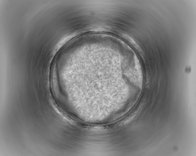 X0000093100986200710241217