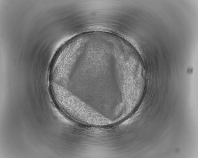 X0000093100987200710241217