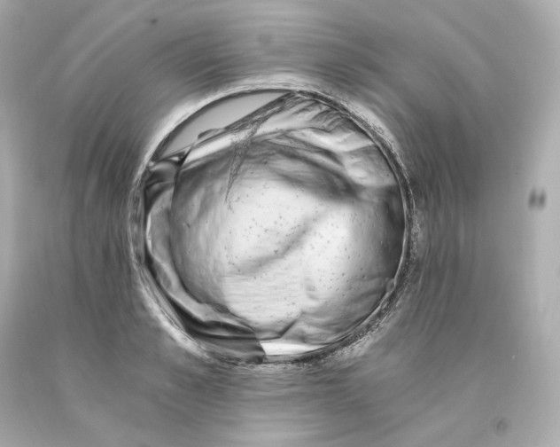 X0000093100989200710241217