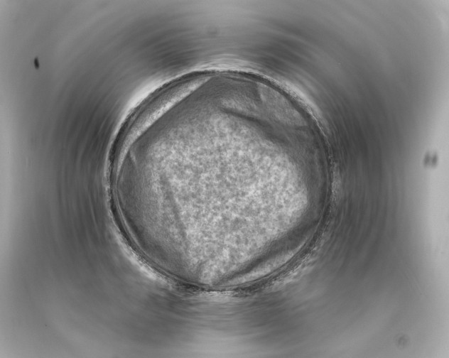 X0000093100990200710241217