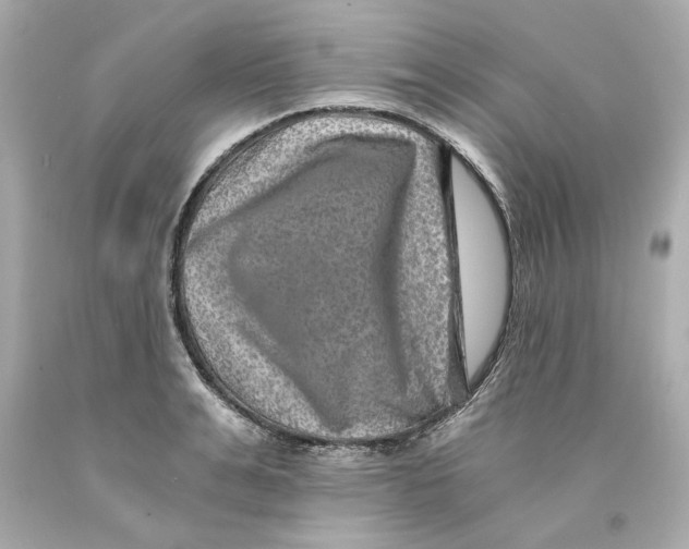 X0000093100991200710241217