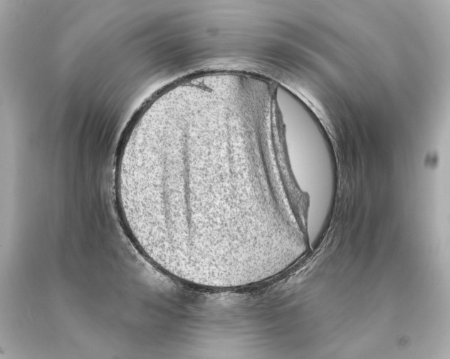 X0000093100992200710241217