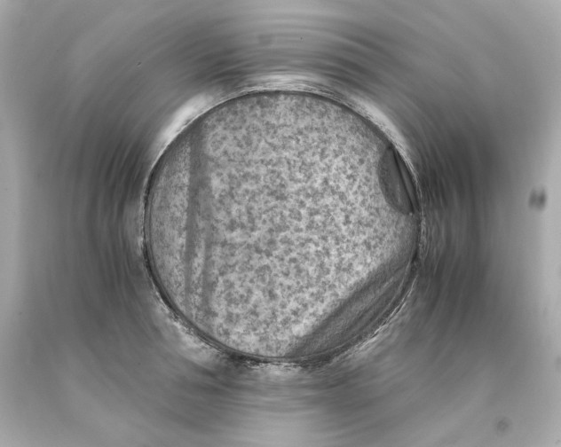 X0000093100994200710241217
