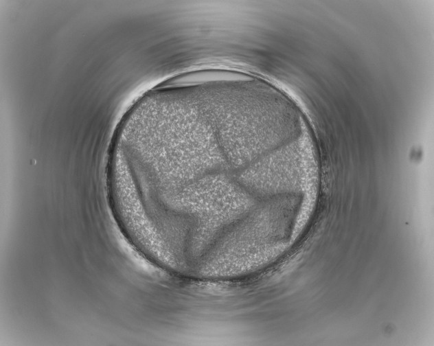 X0000093100995200710241217