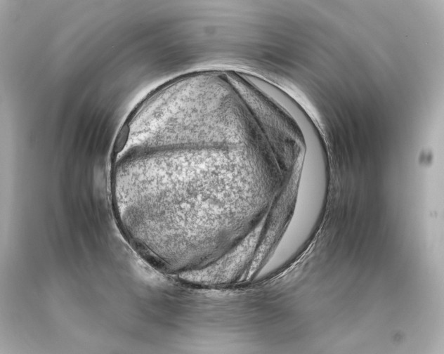 X0000093100996200710241217