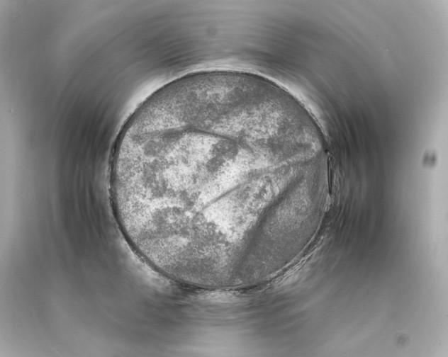 X0000093100998200710241217
