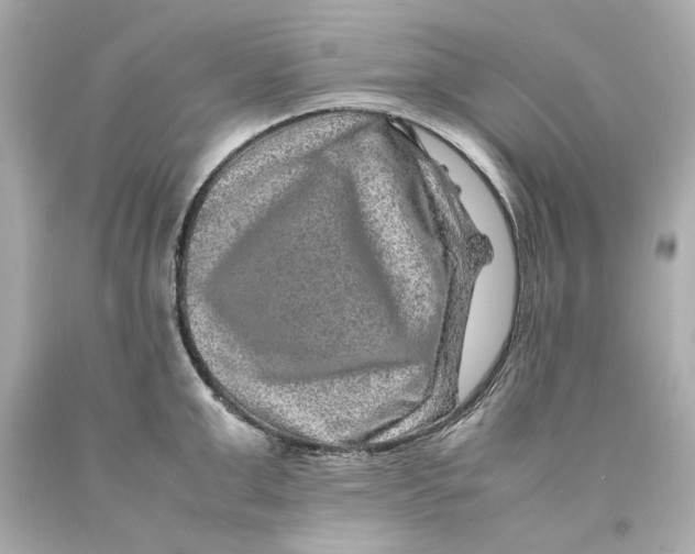 X0000093100999200710241217
