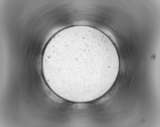 X0000093101000200710241217
