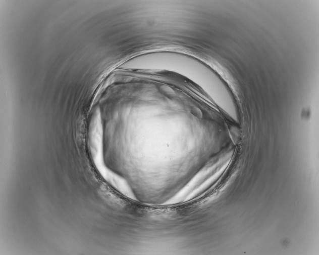 X0000093101001200710241217