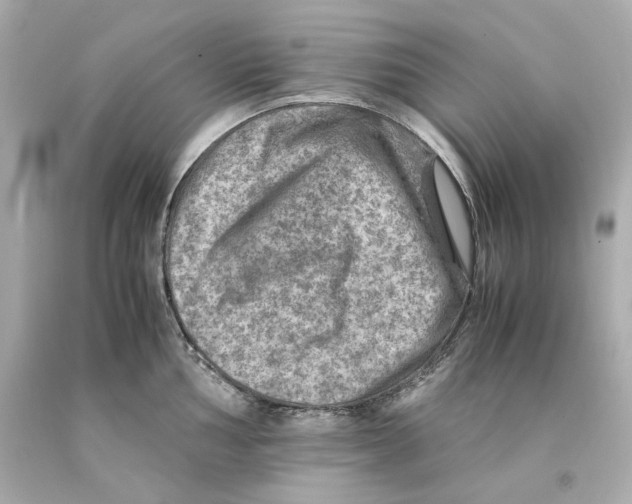 X0000093101002200710241217