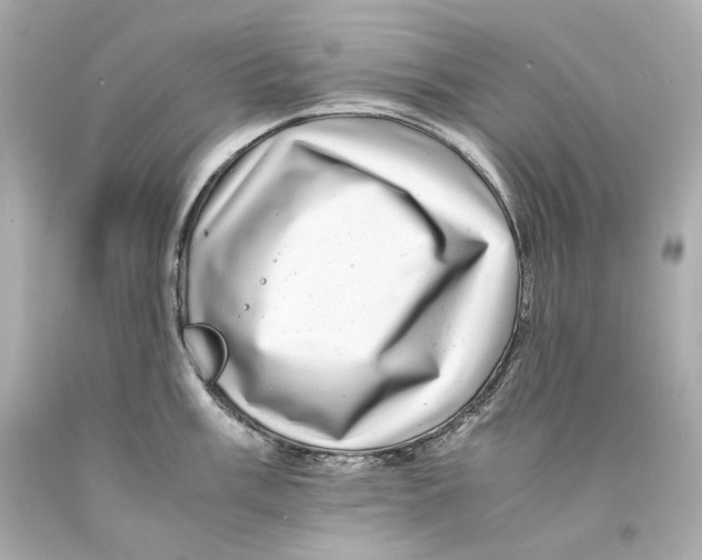 X0000093101003200710241217