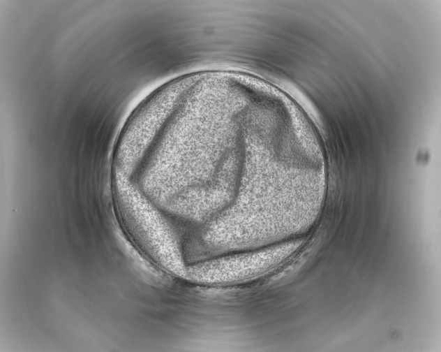 X0000093101004200710241217
