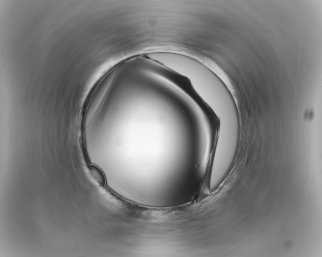 X0000093101005200710241217