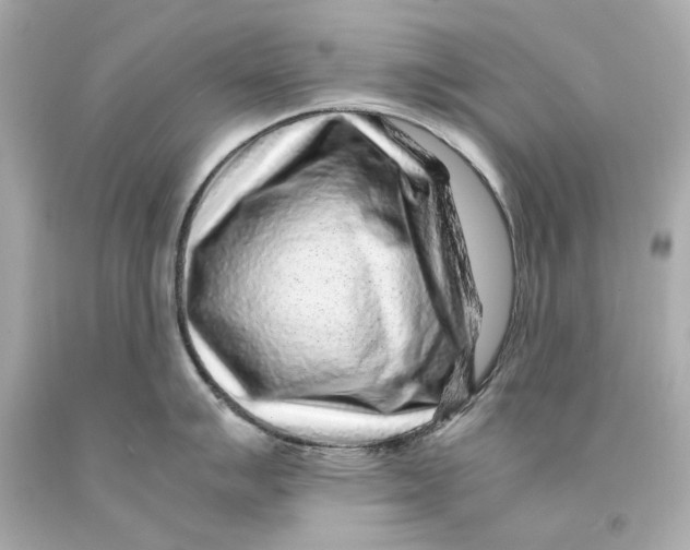 X0000093101007200710241217