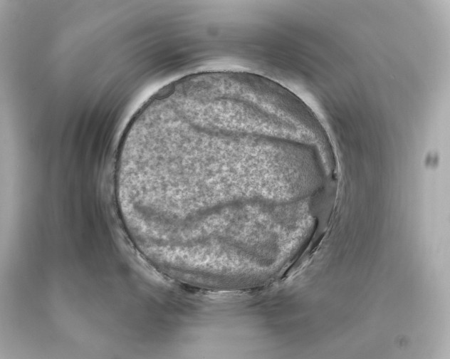 X0000093101008200710241217