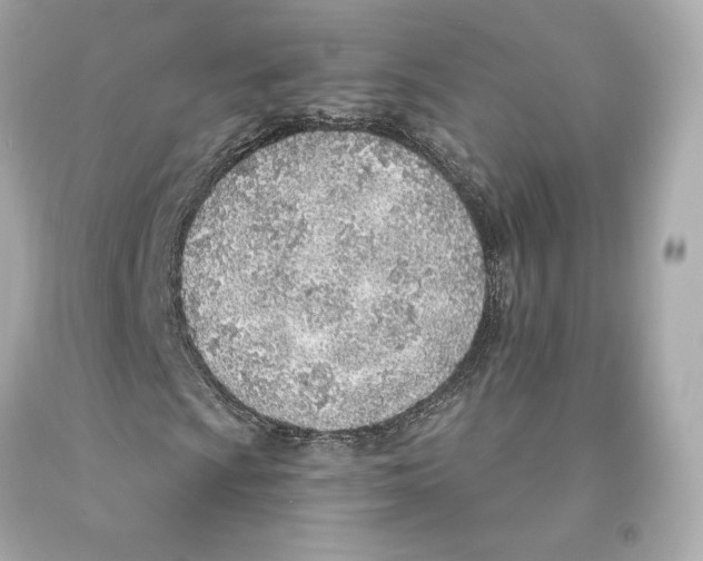 X0000093101009200710241217