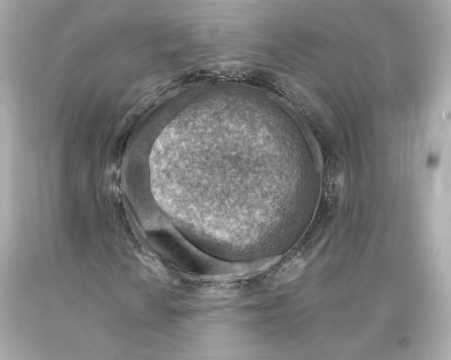 X0000093101010200710241217