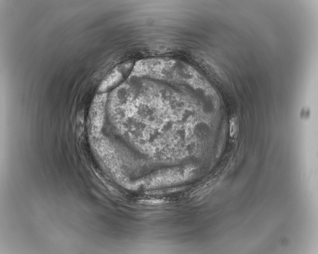 X0000093101011200710241217