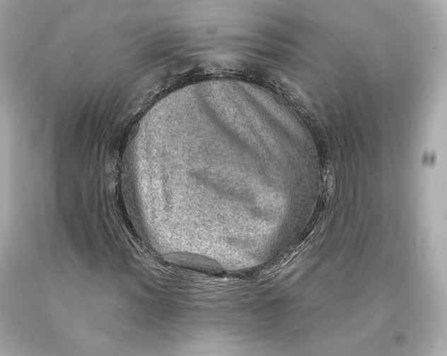 X0000093101012200710241217