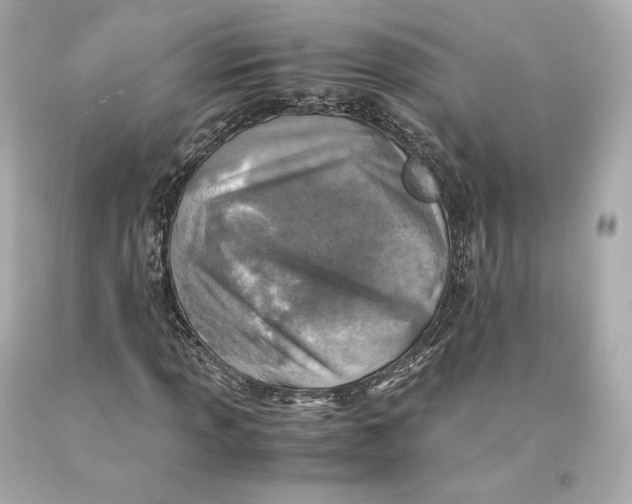 X0000093101013200710241217