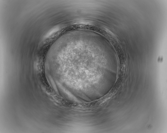 X0000093101014200710241217