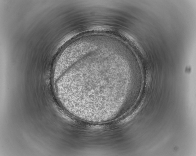 X0000093101017200710241217