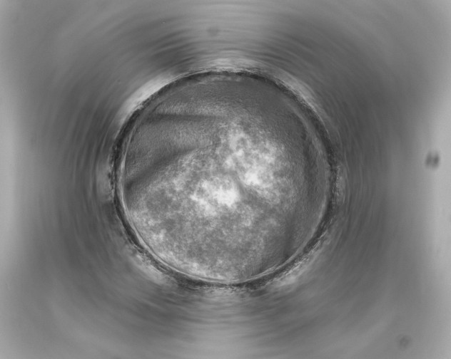 X0000093101018200710241217