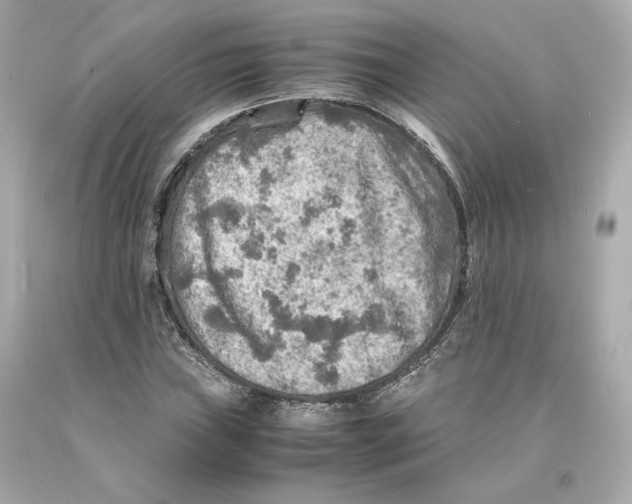 X0000093101019200710241217
