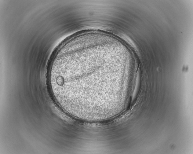X0000093101020200710241217